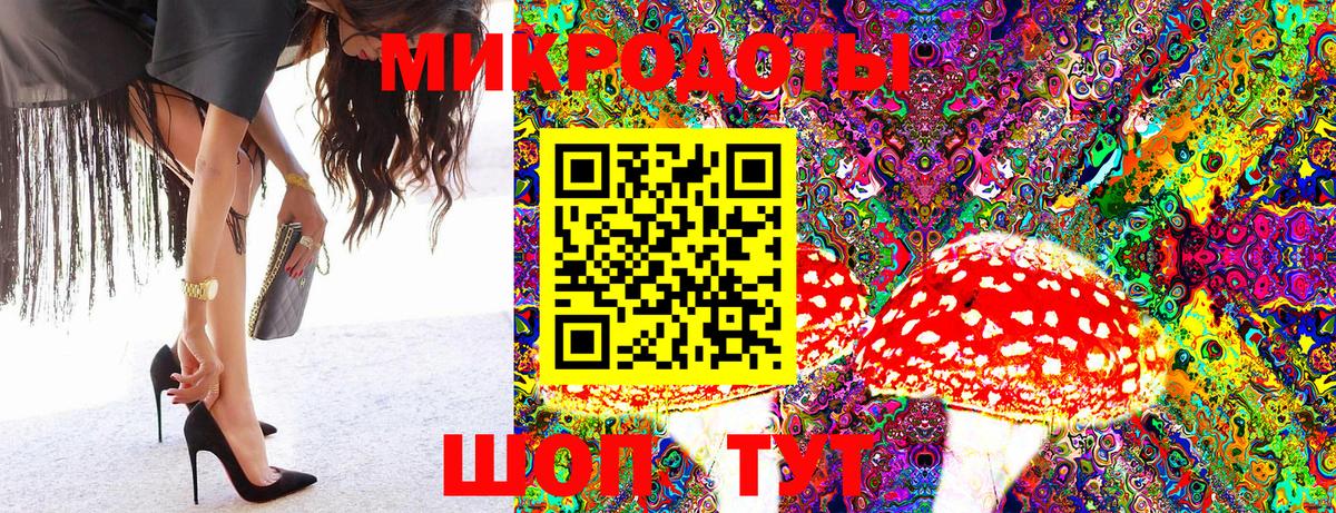 Галлюциногенные грибы Cubensis Курчалой